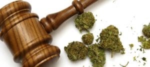 Will a Trump Presidency Snuff Out Marijuana Legalization?